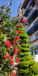 Alex Resort & Spa Hotel 4* - Фото отеля