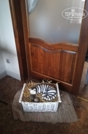 Кошкин дом 3* - Фото отеля
