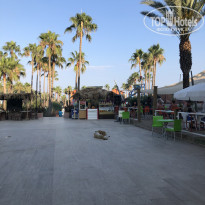 Green Paradise Beach Hotel 4* - Фото отеля