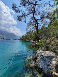 Marcan Resort 4* - Фото отеля