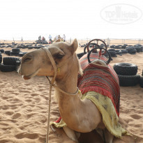 Carlton Sharjah 4* Экскурсия, пустыня - Фото отеля