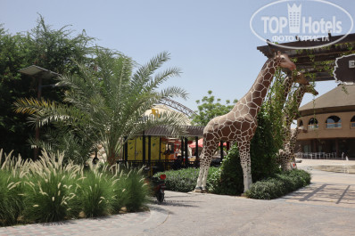 Carlton Sharjah 4* Экскурсия, зоопарк - Фото отеля