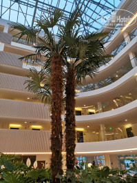 Movenpick Resort & SPA Anapa Miracleon 5* - Фото отеля