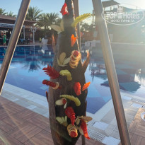 Quattro Beach Spa & Resort 5* - Фото отеля