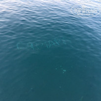 Grand Ring 5* - Фото отеля