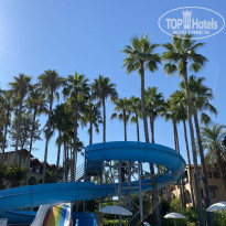 Green Paradise Beach Hotel 4* горки в основном бассейне - Фото отеля