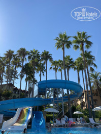 Green Paradise Beach Hotel 4* горки в основном бассейне - Фото отеля
