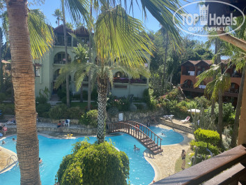 Green Paradise Beach Hotel 4* - Фото отеля