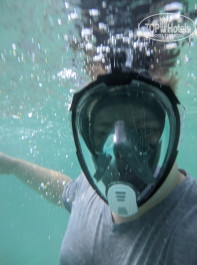 Occidental Sharjah Grand 4* Вода достаточно прозрачная, чтобы плавать в маске, снимать фото и видео. - Фото отеля