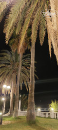 Antalya Adonis 5* - Фото отеля