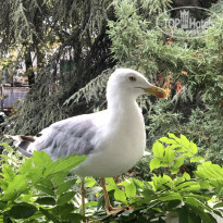 ПОРТО МАРЕ 4* - Фото отеля