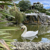ПОРТО МАРЕ 4* - Фото отеля