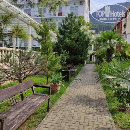 Alex Resort & Spa Hotel 4* - Фото отеля
