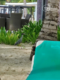 Riu Naiboa 4* - Фото отеля