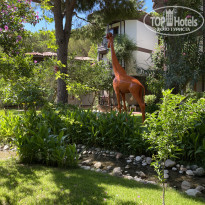 Selectum Family Resort 5* По всей территории вот оакие разноцветные жирафы метра 4/5 в высоту - Фото отеля