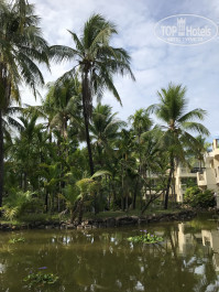 Palm Beach Resort & Spa Sanya 5* Вид из номера балкона - Фото отеля