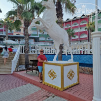 Kemal Bay 5* - Фото отеля