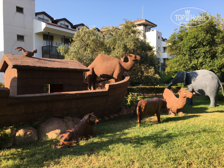 Новые добавленные фото туристов в Alba Resort Hotel 5*