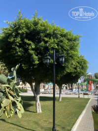 Royal Garden Beach Hotel 5* - Фото отеля