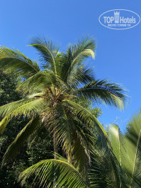 Grand Bahia Principe Punta Cana 5* - Фото отеля
