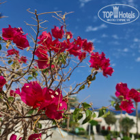 SUNRISE Montemare Resort - Grand Select - 5* - Фото отеля
