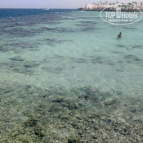 Zahabia Hotel & Beach Resort 4* - Фото отеля