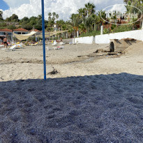 Green Paradise Beach Hotel 4* - Фото отеля