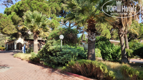 Omer Holiday Resort Shark Hotels 4* - Фото отеля