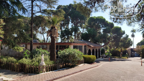 Omer Holiday Resort Shark Hotels 4* - Фото отеля