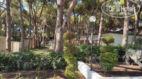 Omer Holiday Resort Shark Hotels 4* - Фото отеля