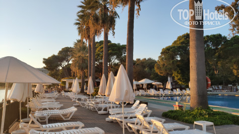 Omer Holiday Resort Shark Hotels 4* - Фото отеля