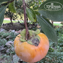 ПОРТО МАРЕ 4* - Фото отеля