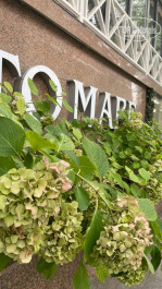 ПОРТО МАРЕ 4* - Фото отеля