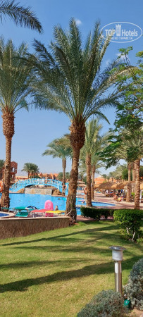 Caribbean World Soma Bay 5* - Фото отеля