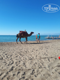 Gural Premier Belek 5* - Фото отеля