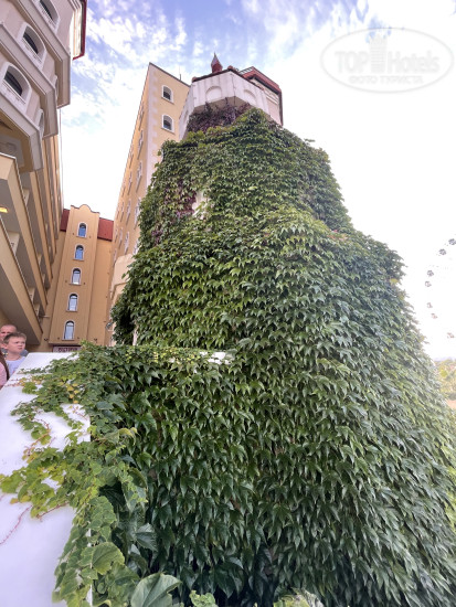 Богатырь 4* - Фото отеля