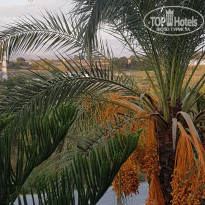 Victory Resort 5* - Фото отеля