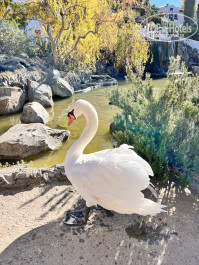 ПОРТО МАРЕ 4* - Фото отеля