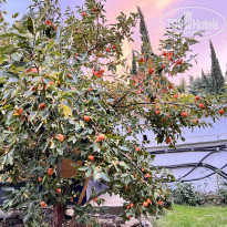 ПОРТО МАРЕ 4* - Фото отеля