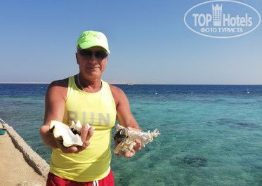Zahabia Hotel & Beach Resort 4* - Фото отеля