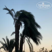 Zahabia Hotel & Beach Resort 4* - Фото отеля