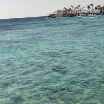 Zahabia Hotel & Beach Resort 4* Чудесное море с прекрасным рифом. Огромная территория пляжа. - Фото отеля
