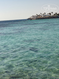 Zahabia Hotel & Beach Resort 4* Чудесное море с прекрасным рифом. Огромная территория пляжа. - Фото отеля