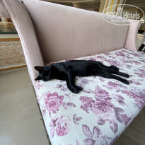 Sultan Of Side 5* - Фото отеля