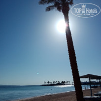 Zahabia Hotel & Beach Resort 4* - Фото отеля