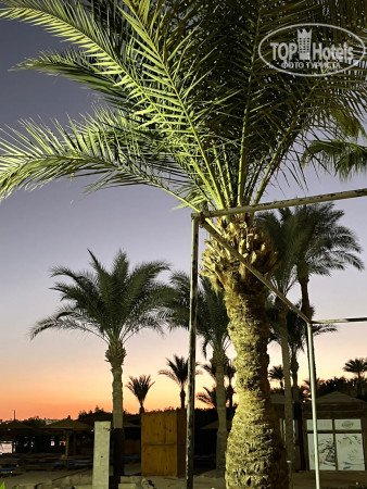 Naama Bay Promenade Resort Managed By Accor 5* - Фото отеля