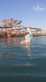 Zahabia Hotel & Beach Resort 4* - Фото отеля