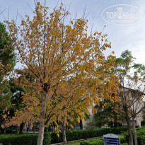 Alva Donna World Palace 5* - Фото отеля