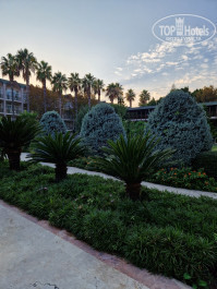 Alva Donna World Palace 5* - Фото отеля