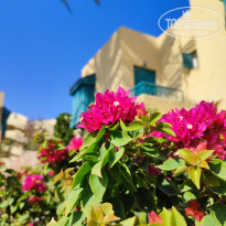 Zahabia Hotel & Beach Resort 4* - Фото отеля